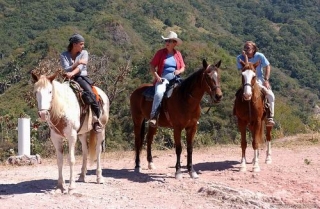 Caballos adiestrados para rutas a caballo